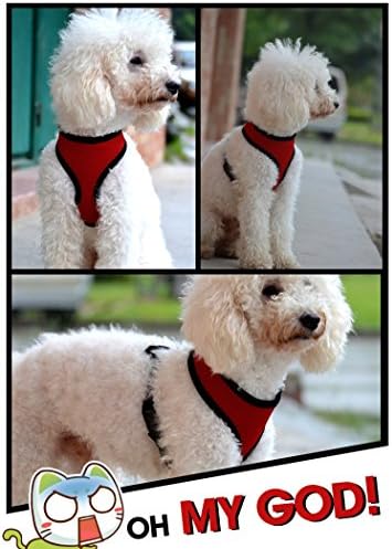 Модна мрежа кучиња лента за градите решетки за грб грб крпа крпа миленичиња градите грб