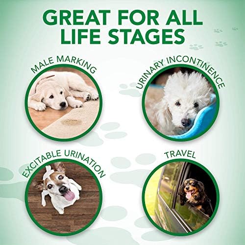 Најдобрата Удобност На ветеринарот Одговара На Машки Пелени За Кучиња За Еднократна Употреба | Абсорбента Машки Обвивки Со Вклопување