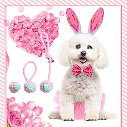 Куче Велигденски костим за зајаче, 6 парчиња продолжение за миленичиња зајаци уши за глава на глава, лак, лак, туту фустан и заби за џвакање јаже топка играчки, сет за