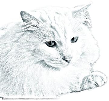 Уметност Куче Оод. Турска Ангора Мачка, Овален Надгробен Споменик Од Керамичка Плочка со Слика на мачка