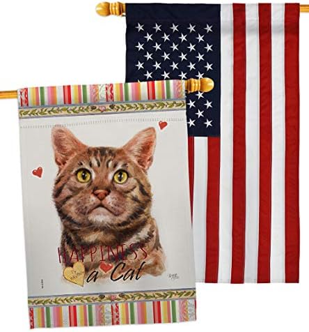Бриз Декор Американска Кратка Коса Среќа Куќа Знаме Пакет Мачка Маче Мјаукање Расипана Шепа Крзно Домашно Милениче Природа Фарма