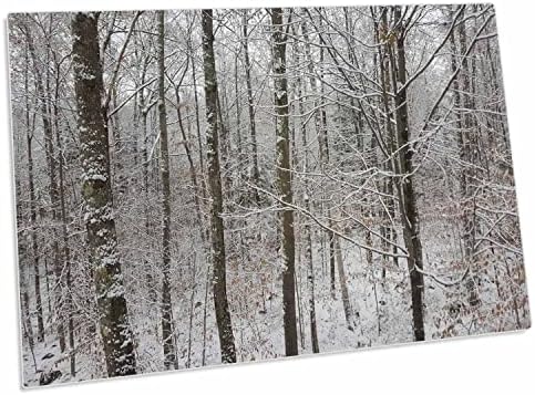 3дроза Зимски Снег Покриени Голи Гранки На Дрвја-Биро Рампа Место Душеци