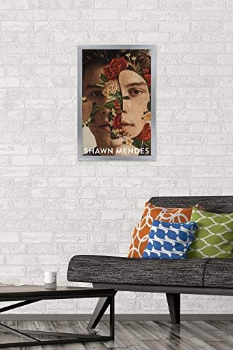 Меѓународниот трендс Шон Мендес - постер за цвеќиња, 22.375 „x 34“, премија нерасположена верзија