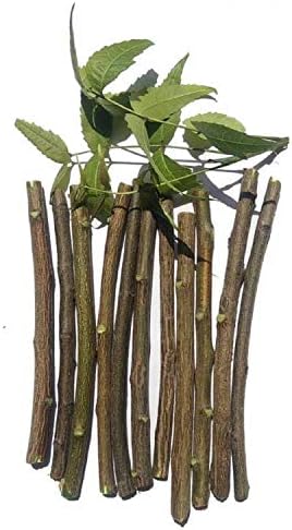 Индиски ајурведски природен органски неем датун четка за заби, гранчиња од дрво