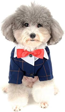 Зунеа мало куче официјално носење миленичиња господин смокинг костум костум со лак, карирано кученце фустан, облекување облека