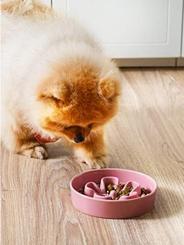 Керамички бавни садови за кучиња од леаци, мала раса, 0,6 чаши кучиња храна за кучиња за брзи јадења, сад за загатки за мали кучиња и мачки