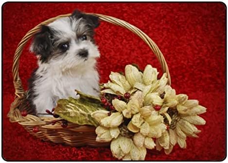 Tsingza Soft килим со големи површини, цвеќиња од кученце во Морки, удобен затворен тепих, бебе игра за бебиња за дневна соба спална