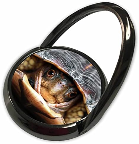3drose макро фотографија на кутија желка што излегува од неговата обвивка. - Телефонски ringsвони