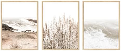 Сет на печатење на wallидни уметности од 3, ботанички слики за печатење, трска суво пампас цвеќе и крајбрежен постер печати дома украси