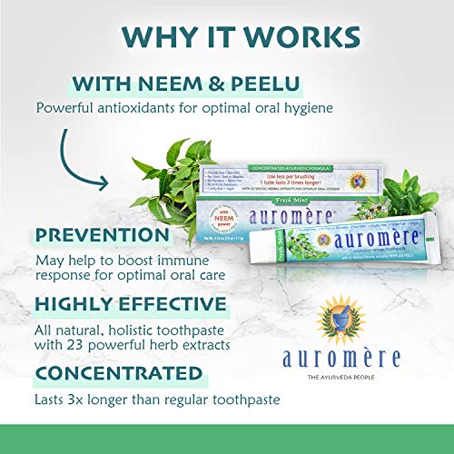 Ауромер Ајурведска паста за заби, свежо нане - веган, природен, не GMO, без флуорид, без глутен, со Neem & Peelu, 1 пакет