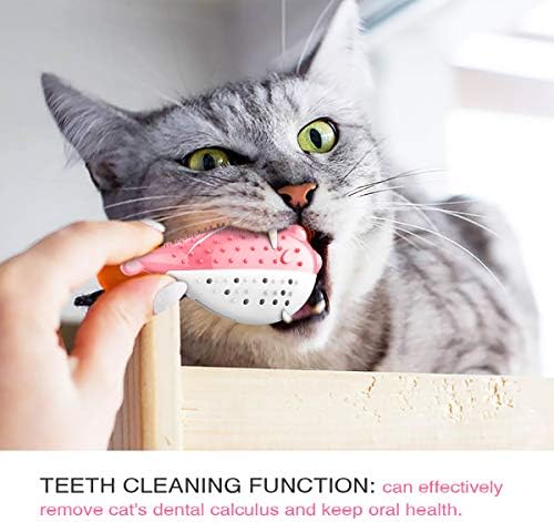 Cat Catnip џвака играчки, мафија во форма на мачки моларни заби чистење стоматолошка нега мачка за заби играчка играчка интерактивна