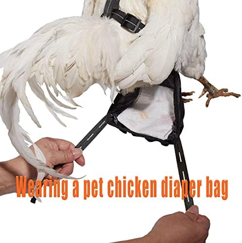 Yesito Пилешко Темперамент Големина на Кокошка со 6ft Појавување Поводник Перат Миленичиња Сет - За Пилиња – Гуски, Патки &засилувач; Повеќе-Олеснување На Пилешко Обука