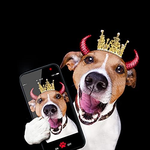 Миленичиња шоу 2 парчиња средно кучиња круна за глава кученца мачка капа за роденденска забава сребрена златна ринстона факс бисер