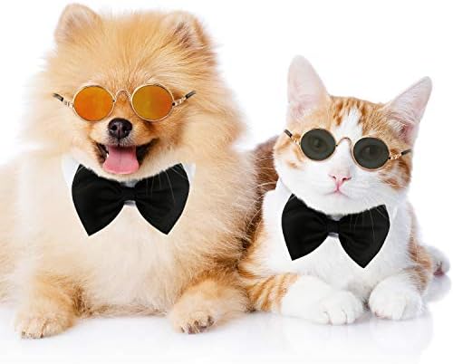 6 парчиња очила за сонце од мачки смешни очила за сонце за сонце за сонце, мали очила за сонце од кучиња, класични ретро кружни