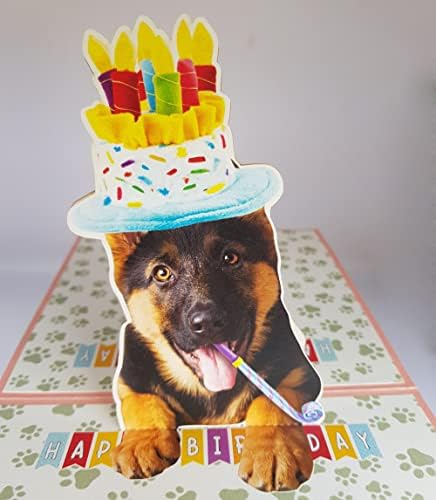 Луди папови германски шумски покажувач куче 3Д роденден смешни поп -картички, германски скратено покажувач 3Д роденденски поп -картички, среќен