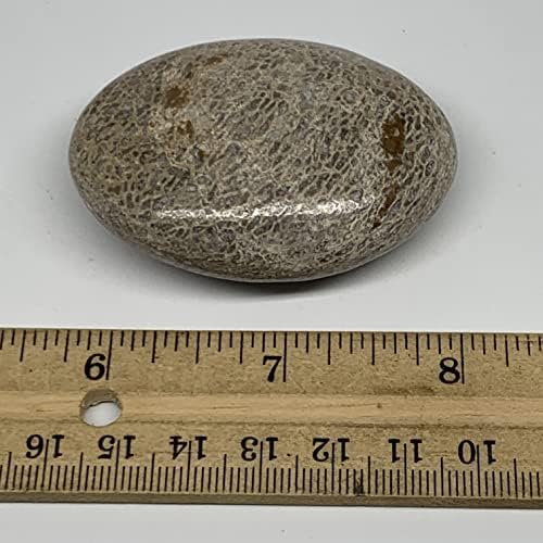 69.9g, 2,3 x1.7 x0.9 диносаурус коска палма-камен галетска форма полирана @morocco, Reiki Energy Crystal, Metaphysical, B20424