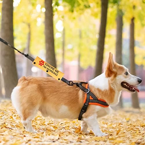 Pwhaoo Service Dog Dog Leash Sneove Dot Не миленичиња кои работат со домашно куче поводник за ракави за кучиња