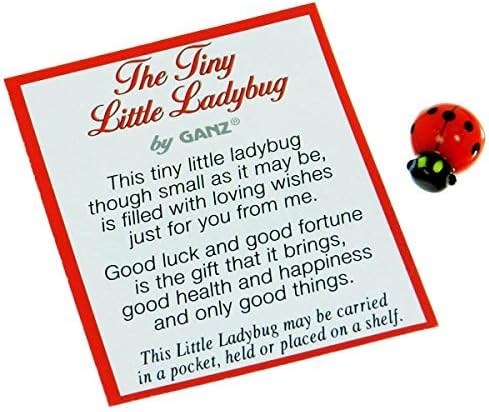 Ganz Tiny Milt Lady Bug Poem картичка и мала пластична бубамара