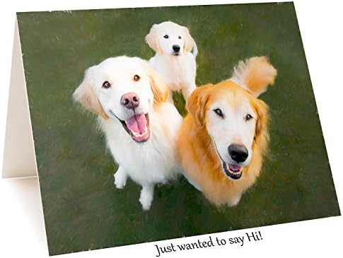 Поздравни картички на кучињата на Трог, Златен ретривер: Златна oyој II