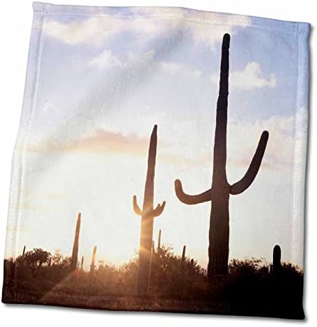 3drose Saguaro Cacti, Carnegiea gigantea, на зајдисонце во пустината Соноран. - крпи