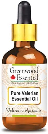 Гринвуд есенцијално чисто валеријанско есенцијално масло со стаклено капнување природна терапевтска одделение дестилирана 50 мл