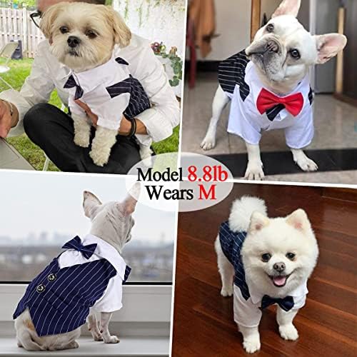 Кучиња кошула миленичиња смокинг облека, костумски лак за матура, носии за матура, кучиња формална облека за облека со вратоврска, кученце