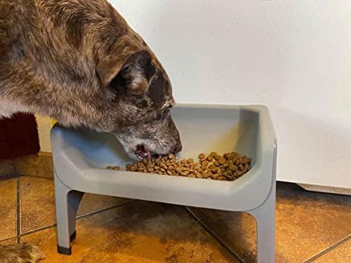 Пената Преку Покачен Сад За Кучиња за Храна | 5 инчи Висока Мачка &засилувач; Станица За Хранење Кучиња | Ветеринар Одобрен Нетоксичен