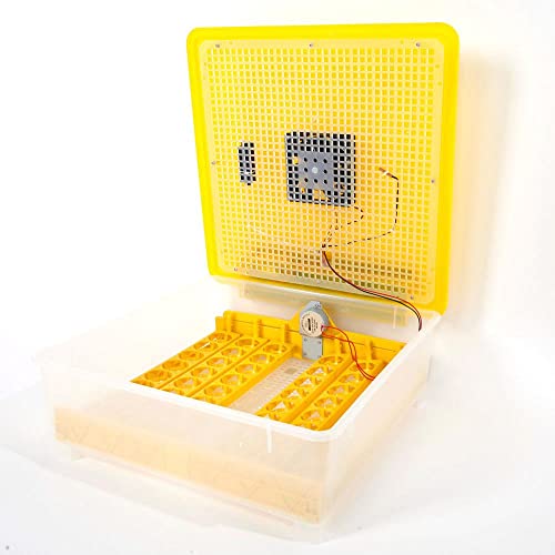 џиабаоју 48-Јајце Автоматски Американски Стандард Жолта &засилувач; Транспарентен Јајце Инкубатор-Практичен И Лесен За Следење На Процесот На