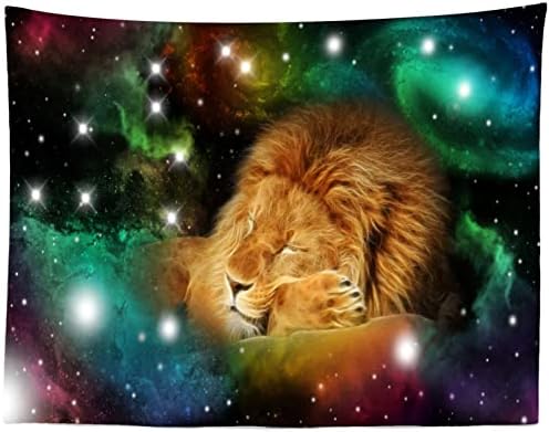 Локаторска ткаенина 9x6ft лав позадина Зодијак Лео Лав во шарени галаксиски starsвезди крал на животни Фотографија позадина за свадба роденденска