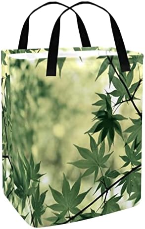 Зелени Лисја Растително Зеленило Гранка Печатење Склопувачки Пречки за Перење АЛИШТА, 60 ЛИТРИ Водоотпорни Корпи За Перење Корпа