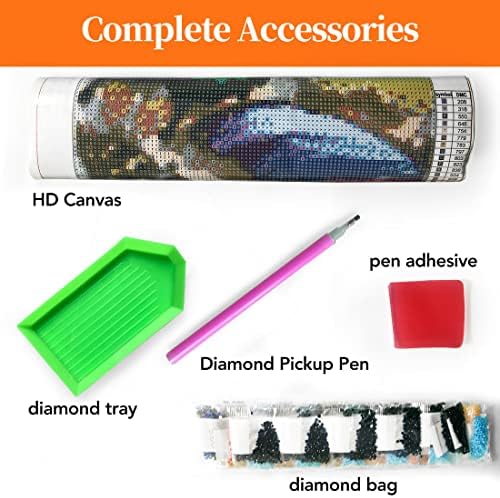 DIY 5D Moon Diamond Kits Kits Kits Diamond Art For Adults Paint Bio Bues Diamond Art Painting за возрасни почетници 12x16 инчи