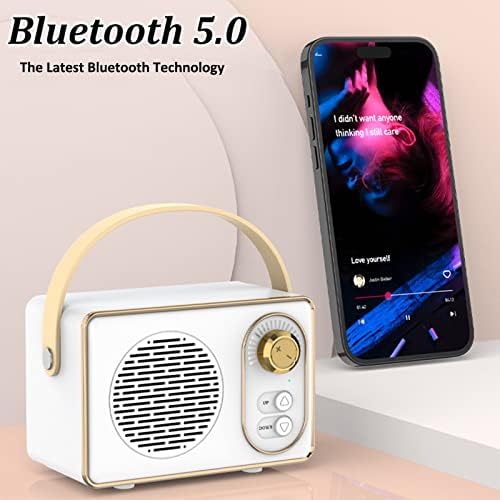 Ретро Bluetooth звучник, гроздобер декор, гроздобер Bluetooth звучници, безжичен преносен Bluetooth звучник поддржува TWS спарување/U-диск/TF