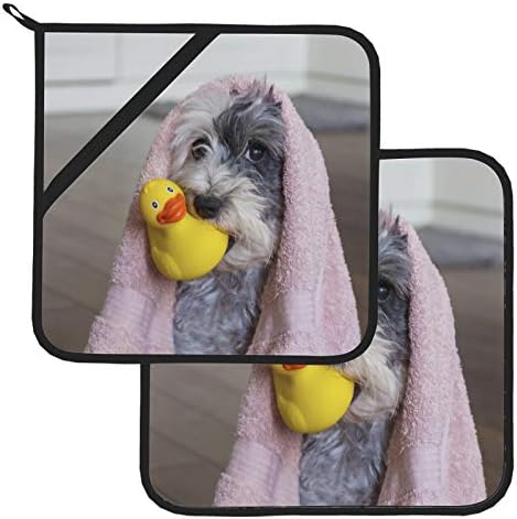 Среќа куче што се бања со топла подлога, отпорни на тенџере, држачи со џебови 2 парчиња држачи за кујнски садови 8 × 8 инчи за готвење и печење