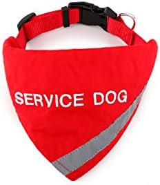 Куче Стајлц Сервис Куче Бандана Со Рефлектирачка Лента За Безбедност на домашни миленици Ноќе. Има Вградено Соодветна Јака За Да Ја Одржува Банданата
