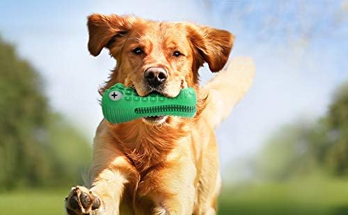 Куче Писклива Играчка За Џвакање, Цврста Природна Гума Издржлива За Агресивни Џвакачи, Забавна За Џвакање За Медиум