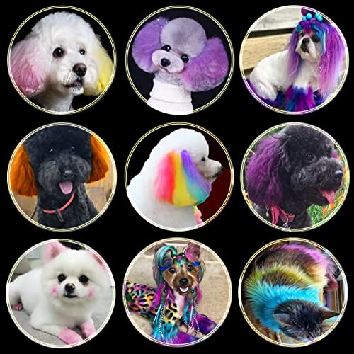 ПЕТ Брзо боја Клип за коса за кучиња може да се користи за боење на косата за еднократна употреба во боја на долги коса мачки и кучиња и