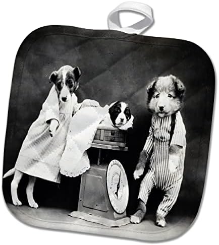 3drose Слика на гроздобер црно -бело фото -кучиња облечени - постери