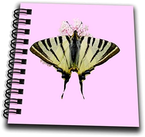 3drose swallowtail на цвеќиња од диви лук, исечени на розови - цртање книги