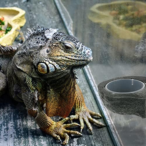 балаку, полумесечен геко храна чинија со рептил вода чинија со влекачи храна храна сад гуштер за пиење вода диспензерот за вода за