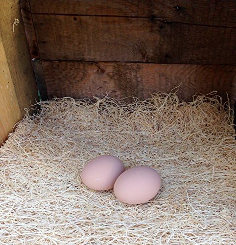 Керамички Пилешко Гнездење Јајца - Лажни Јајца За Обука За Поставување Кокошки, Кокошка Гнездо Кутии &засилувач; Домашна Декорација