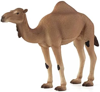 Мојо арапска камила реалистична меѓународна реплика за реплика на играчки за диви животни