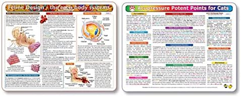 Kemah The Body Systems и пакет на акупресура- двострана, ламинирана табела: табела за учење и настава