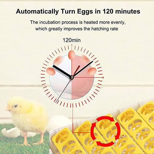 Инкубатор за јајца, Инкубатор За Јајца За Ведење Автоматска Дигитална Машина За Шрафирање Живина Со Автоматско Вртење Јајца, За Шрафирање