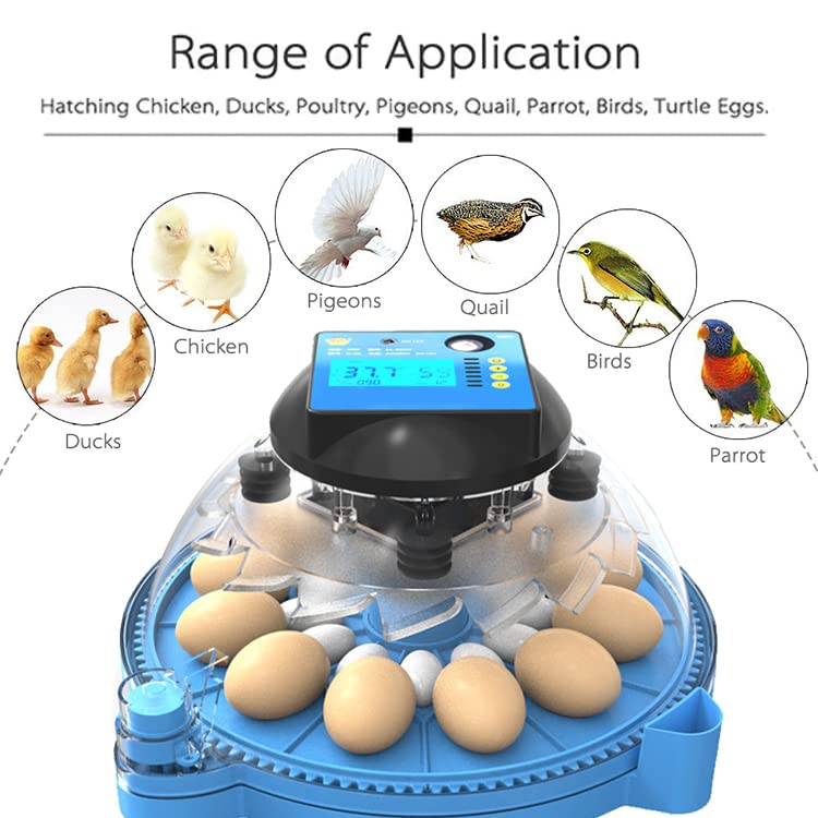 Нолапо 24-12 Јајце Инкубатор Со Еден Дното Светлина Јајце Тестер, 95% Стапка На Шрафирање Автоматско Вртење Јајце И Контрола На