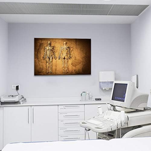 Klvos гроздобер човечки мускулен систем и скелетни патенти фотографии платно печатење wallид декор Анатомска медицинска уметност