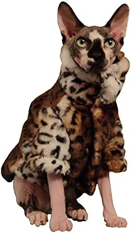 NS Sphynx мачка дебела памучна памучна зимска прошетка со леопард палчињата носат со вашата мачка за мачка без влакна, Девон Рекс и Кониш Рекс