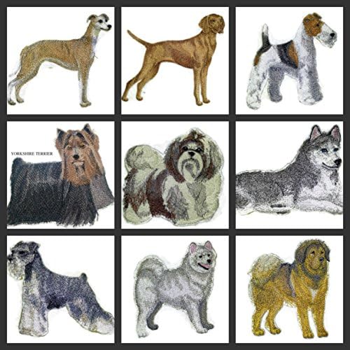 Неверојатни портрети за кучиња [Vizsla] Везено железо на/шива лепенка [5. x 4] направено во САД]