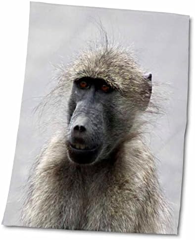 3drose Sven Herkenrath Animal - Фотографија на смешен бушачен мајмун диви животни - крпи