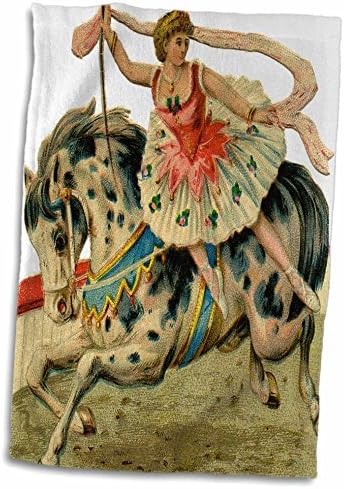 3drose Флорен Викторијански слики - Циркус коњ и балерина - крпи