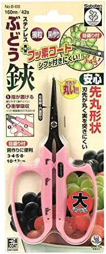 Кактус грозје ножици се справи со големи Марутадаши Б-6Б